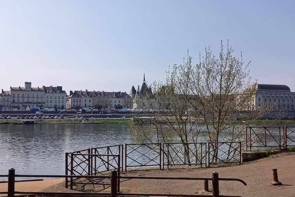 Les Marronniers Appartement Centre Saumur Bord De Loire Exterior foto